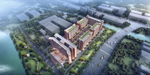 東莞再添創新引擎 超20萬平米高新科技產業園正式動工，聚焦前沿技術開發